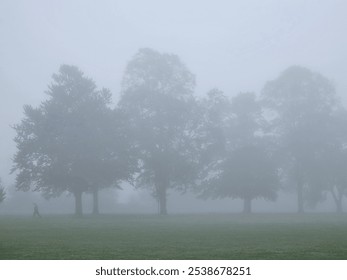 A misty morning scene with trees barely visible through the dense fog, evoking a sense of calm and mystery. A lone person walks across a grassy field, adding a serene touch to the ethereal atmosphere - Powered by Shutterstock