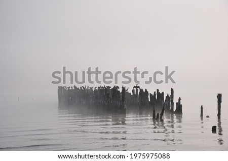 Similar – Silhouettes in low tide