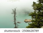 Misty morning at a serene Lake Haiyaha surrounded by evergreen trees and rocky formations under a cloud-covered sky