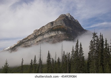 misty mountain