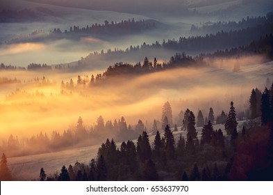 Misty Mountain Forest Landscape In The Morning, Poland
