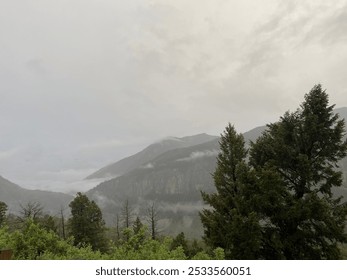 A misty mountain landscape with clouds drifting through the trees, creating a tranquil and mysterious atmosphere. The fog-covered peaks and lush greenery evoke the serenity of nature after rainfall. - Powered by Shutterstock