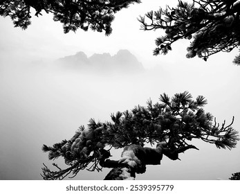 Misty mountain landscape framed by snow-covered pine branches. - Powered by Shutterstock