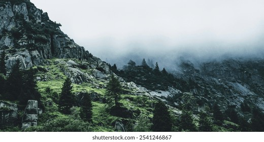 Misty Mountain Landscape with Lush Greenery and Pine Trees - Powered by Shutterstock