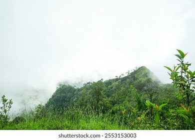 Misty mountain landscape lush greenery nature photography serene environment elevated viewpoint tranquility concept for nature lovers - Powered by Shutterstock