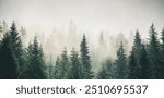 Misty mountain landscape with mysterious fir forest. Cross process filter, vintage hipster style. Carpathian mountains, Ukraine, Europe. Picturesque photo wallpaper. Beauty of earth.