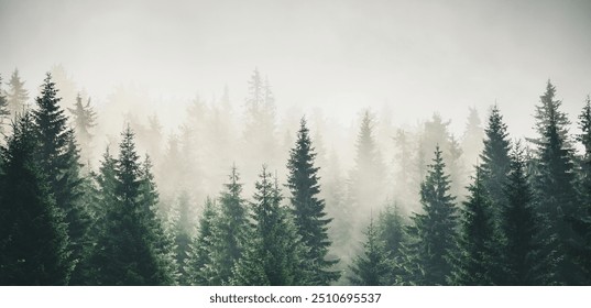 Misty mountain landscape with mysterious fir forest. Cross process filter, vintage hipster style. Carpathian mountains, Ukraine, Europe. Picturesque photo wallpaper. Beauty of earth. - Powered by Shutterstock