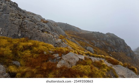 A misty mountain landscape with rocky terrain and sparse vegetation, featuring a cloudy sky obscuring the mountain peaks. - Powered by Shutterstock