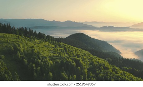 Misty mountain landscape at sunrise with green hills. A stunning view of a misty mountain landscape at sunrise, with lush green hills and dense forests. - Powered by Shutterstock