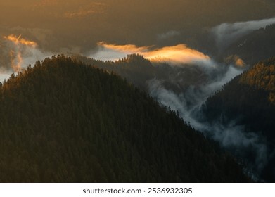 Misty mountain layers, sunrise light, golden hour, Pieniny, Poland.  - Powered by Shutterstock