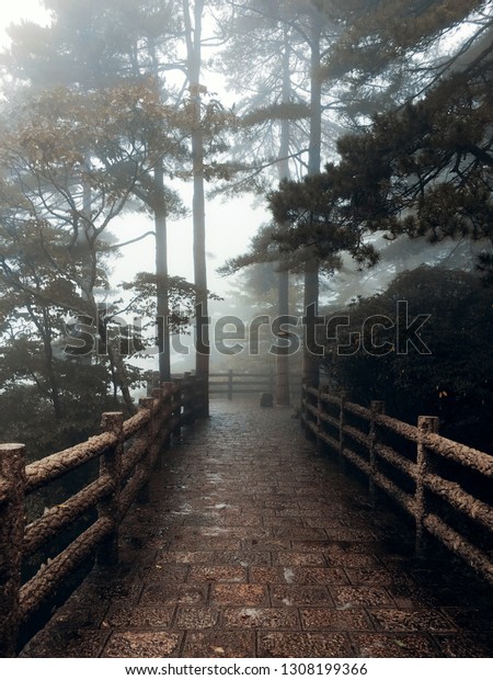 Misty Mountain Path Nature Stock Image