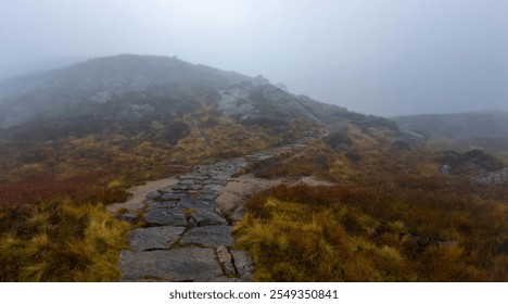 A misty mountain path with rocky terrain and sparse vegetation, creating a mysterious atmosphere. - Powered by Shutterstock