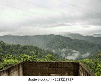  A misty mountain range with lush green trees and power lines in the foreground. The image evokes a sense of tranquility and natural beauty - Powered by Shutterstock