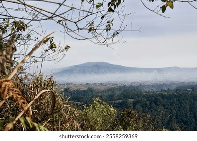 A misty mountain range stretches into the distance, shrouded in a veil of fog. Lush greenery and towering trees frame the breathtaking view, creating a sense of tranquility and mystery - Powered by Shutterstock