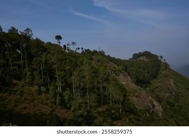 A misty mountain range stretches into the distance, shrouded in a veil of fog. Lush greenery and towering trees frame the breathtaking view, creating a sense of tranquility and mystery - Powered by Shutterstock