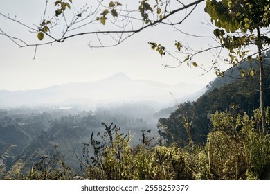 A misty mountain range stretches into the distance, shrouded in a veil of fog. Lush greenery and towering trees frame the breathtaking view, creating a sense of tranquility and mystery - Powered by Shutterstock