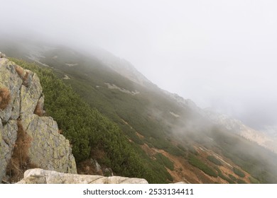 Misty mountain slope covered with lush greenery and rocky outcrops on a foggy day. Concept of tranquil nature, wilderness exploration, and serene mountain landscapes. High quality photo - Powered by Shutterstock