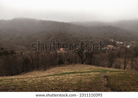 Misty mountain valley, forest, pine trees. Mountains in the mist of a beautiful spring. Misty peak. View of the mountain landscape on a foggy day. Mountain landscape in fog.
