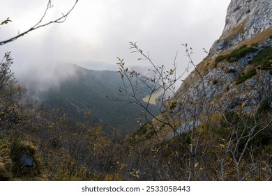 Misty mountain valley view with fog and autumn foliage, surrounded by rocky cliffs and dense pine forest. Concept of serene natural landscape, wilderness, and tranquil atmosphere. High quality photo - Powered by Shutterstock