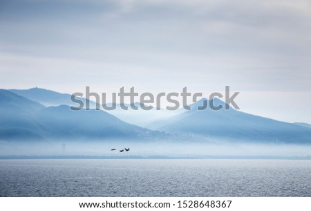 Misty mountain view. Birds flying over sea. Izmir bay in autumn. 