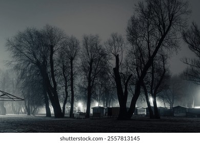 Misty night view of a park with tall, leafless trees and glowing streetlights creating a mysterious and eerie atmosphere. - Powered by Shutterstock