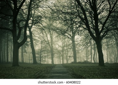 Misty path