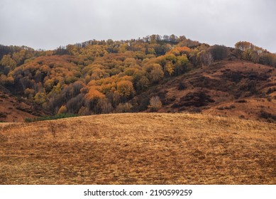 Misty rainy autumn mountain landscape in the morning. View of the misty mountain slopes in the distance. Morning foggy hills. Autumn in remote foothills in northern China. - Shutterstock ID 2190599259