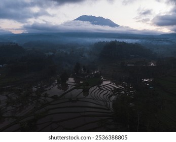 Misty rice terraces with a mountain backdrop at dawn. - Powered by Shutterstock