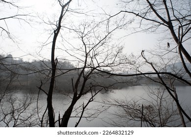A misty river, and a desolate winter tree surrounding the background.