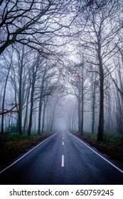 Misty Road Cold - A Thick Fog Covers Much Of Sussex And The Southdowns, England, UK. On Our Way To The Top Of Goodwood Hill, We Had To Drive Down This Foggy Road.