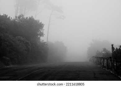 Misty Road On Table Mountain