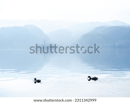 Similar – romantic ducks Lake Clouds