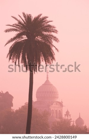 The misty silhouette at sunrise of the gurdwar dam dama sahib, a sikh temple seen from the garden of humayun's tomb, delhi, india, asia