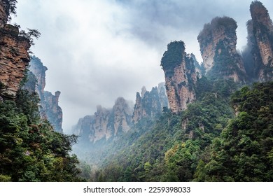 Misty steep mountain peaks in Zhangjiajie, China. Avatar floating mountains landscape