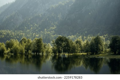 Misty Summer atmosphere at flooded Lake Lödensee in the Bavarian alpine upland beside Ruhpolding with view from lakeside and trees standing at the deluge - Shutterstock ID 2259178283