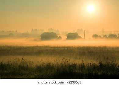 Misty summer morning - Powered by Shutterstock