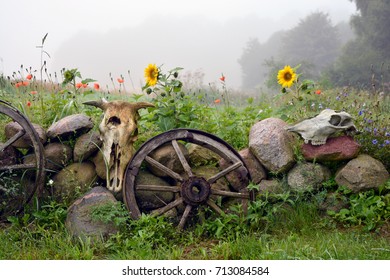 Misty summer morning in farm, decorative stone fence with wheels and animals skulls