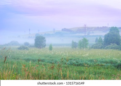 Misty Summer Sunrise in the Mountains: Tall Grass, Thick Fog, Trees, Power Line Towers and Dramatic Purple Clouds. Green Energy, New Day, Blue Hour, Fantasyland Concept. Altai Mountains, Kazakhstan.