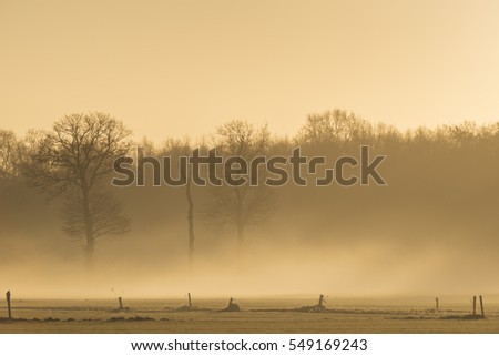 Similar – winter fog Nature