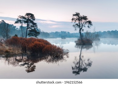 misty sunrise over a fen in the Oisterwijk forests and fens area in the Dutch province of North Brabant