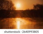 Misty Sunrise over Kingsbury Water Park