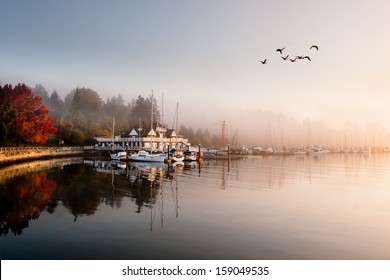 Misty Sunrise At Stanley Park