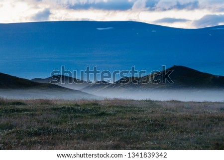 Similar – Foto Bild Icelandic horse in black and white photography