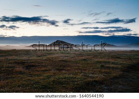 Similar – Foto Bild Icelandic horse in black and white photography