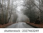Misty tarred road into Epping forest, United Kingdom