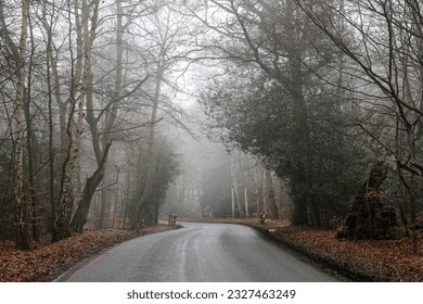 Misty tarred road into Epping forest, United Kingdom