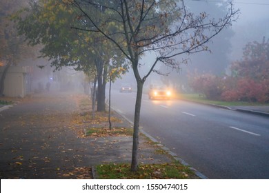 Misty weather descended on the city road. Driving in low visibility conditions. The car rides along the street in dense fog. Traffic on an early autumn morning. - Powered by Shutterstock