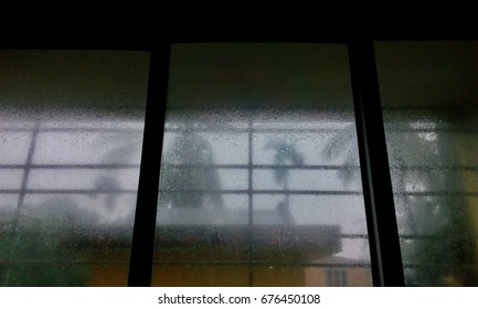 Misty Window pane