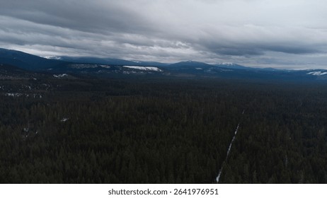 Misty Winter Forest Under Dramatic Clouds