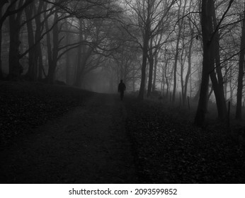 A Misty Winters Day Along The Ridgeway Footpath, Near Aldbury, In Hertfordshire, England.